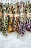Herbes séchées attachées à une ficelle