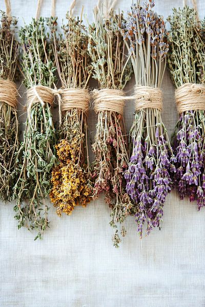 Dried herbs tied to string by Imperial Art House