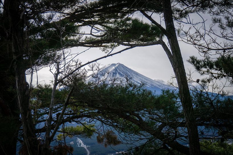 Mount Fuji, Japan par mr. Stam