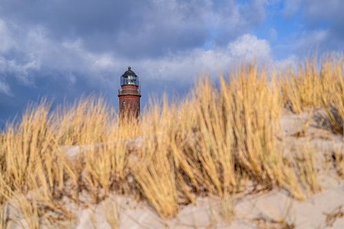 Weststrand Peninsula, Fischland-Darß