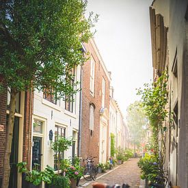 Une allée d'été à Haarlem sur Creacas
