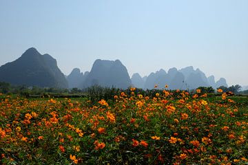 bloemenveld in Guilin (China) van Steve Puype