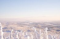 Adembenemend uitzicht op Rusland vanuit Fins Lapland van elma maaskant thumbnail
