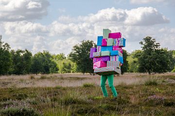 The present of nature