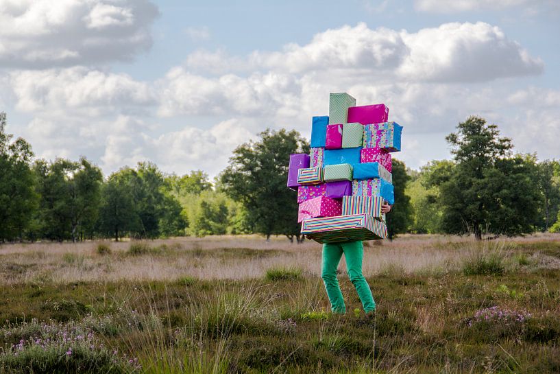 The present of nature by Laurence Meijer