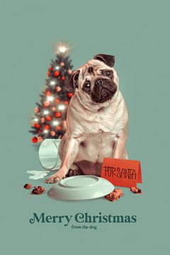 Vrolijk kerstfeest van de hond van Jonas Loose