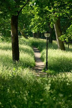 Langs de singel in Utrecht