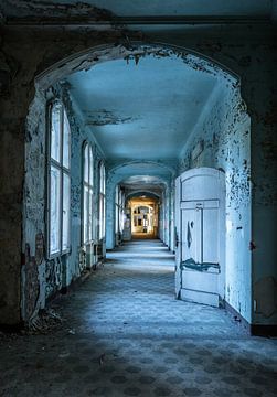 Blue corridor with doors and windows