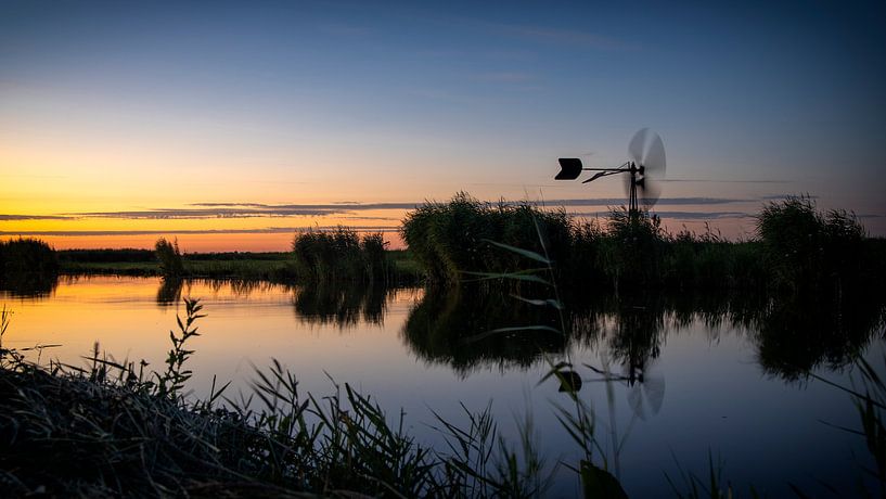 In het Wormer- en Jisperveld komt het zonnetje op van Hans de Waay