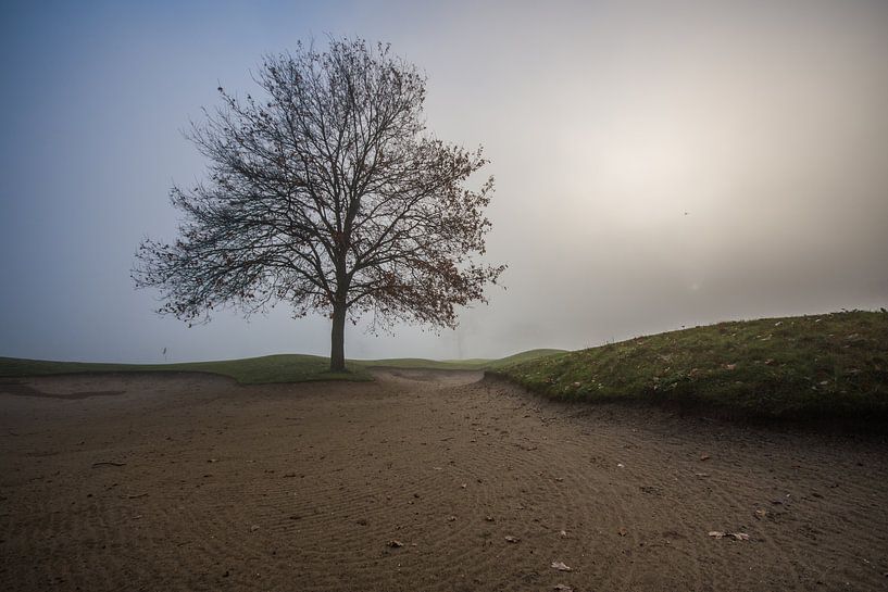 mystical morning by Bart Liesenborgs