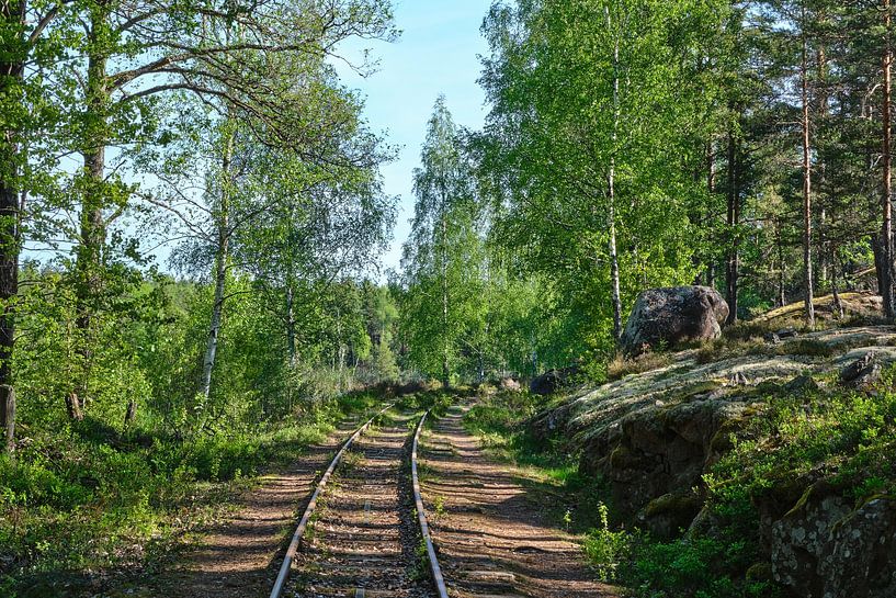 narrow-gauge railway at Målilla by Geertjan Plooijer