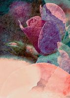 Rose felt 2