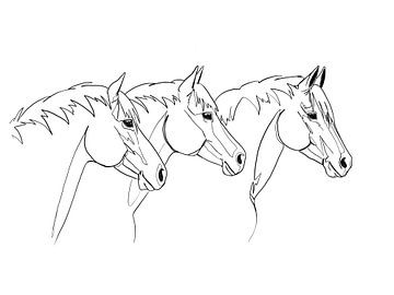 Dessin au trait de 3 chevaux sur KPstudio