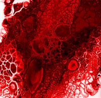 Zeeoog in rood