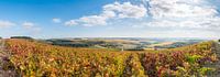 Herbst in den Champagne-Ardennen von Arjen Tjallema Miniaturansicht