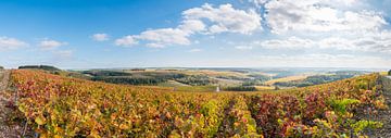 Autumn in the Champagne-Ardennes by Arjen Tjallema