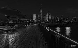 Paul Hook New York by Edward van Hees