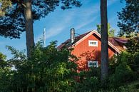 Rotes Holzhaus an der schwedischen Küste van Rico Ködder thumbnail