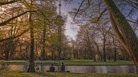 Menschen im Park vor dem Euromast in Rotterdam Niederlande von Bart Ros Miniaturansicht