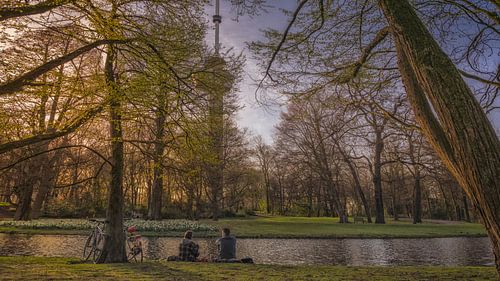Mensen in het Park voor de Euromast in Rotterdam Nederland