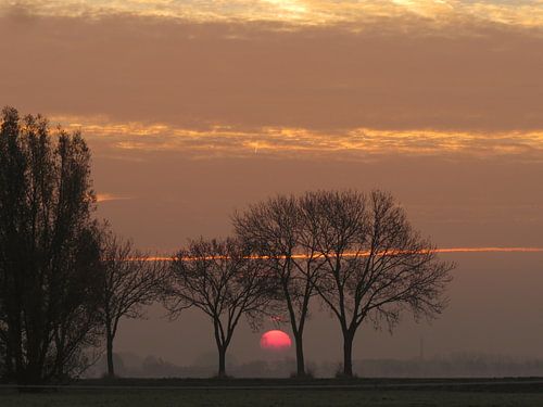 Dutch sunset