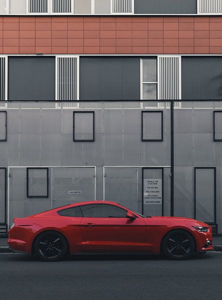 Super Cars by Hello Pompoyo