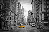 NYC 5th Avenue Traffic by Melanie Viola thumbnail