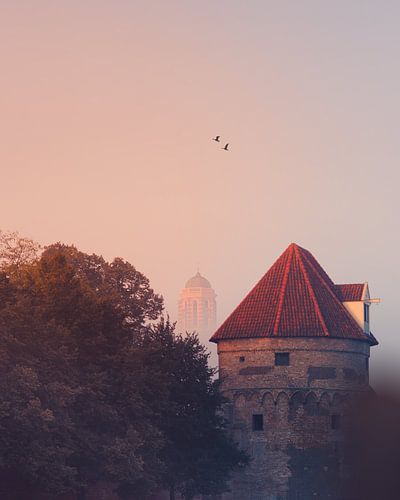 Zwolle Peperbus im Nebel
