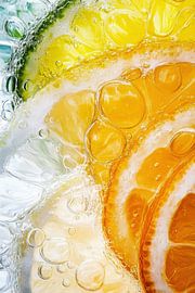 Colorful Citrus Slices in Sparkling Water by Matthias Hauser
