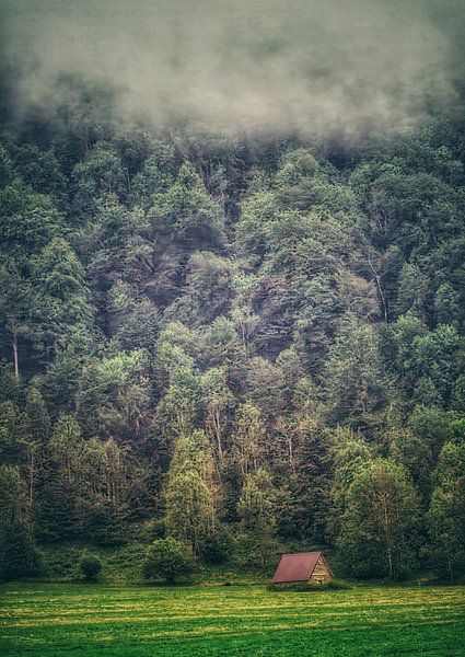 The Cabin by fb-fotografie