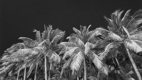 BORACAY 11 sur Tom Uhlenberg