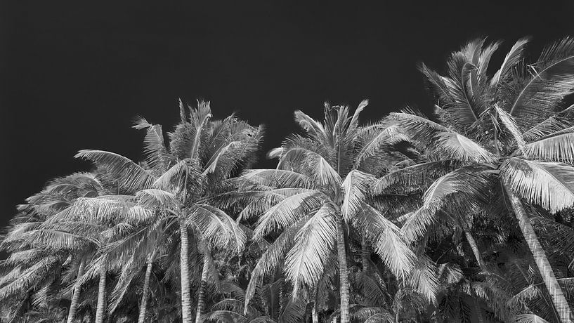 BORACAY 11 par Tom Uhlenberg