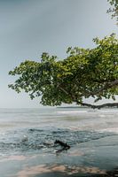 Travel photography