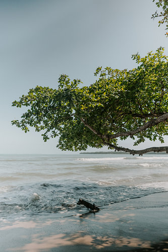 Reisfotografie “Rust” | Costa Rica |  Midden Amerika | Cahuita | |Groen | Strand| Zee| Bomen | Fotografie | Foto Print | Art Print
