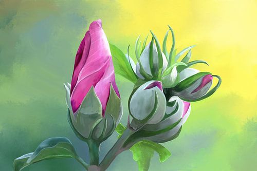 Peinture d'une fleur d'hibiscus