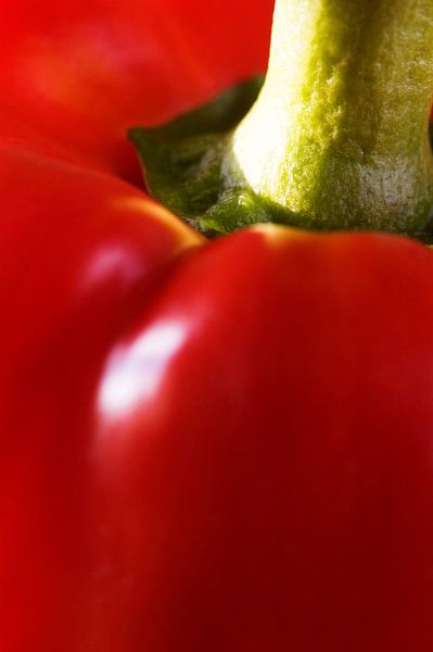 Red bell pepper by Margot van den Berg