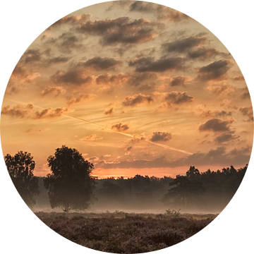 Morning has broken I van Hans Koster