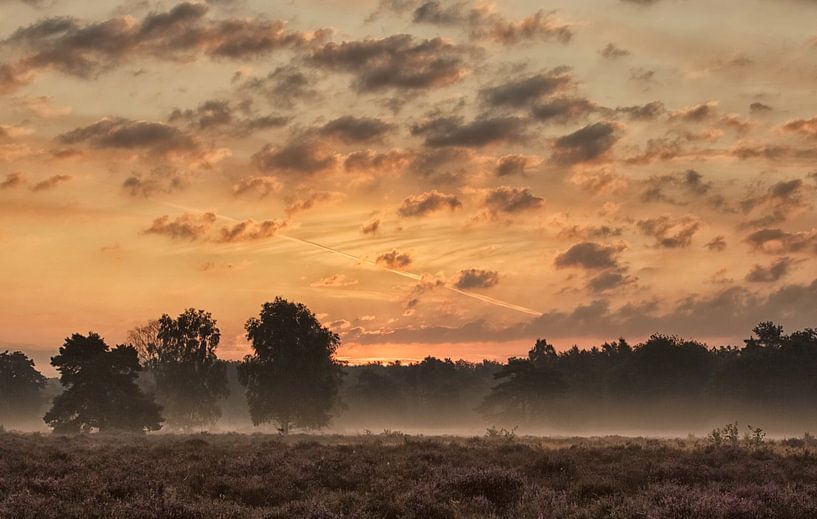 Le matin s'est levé. par Hans Koster