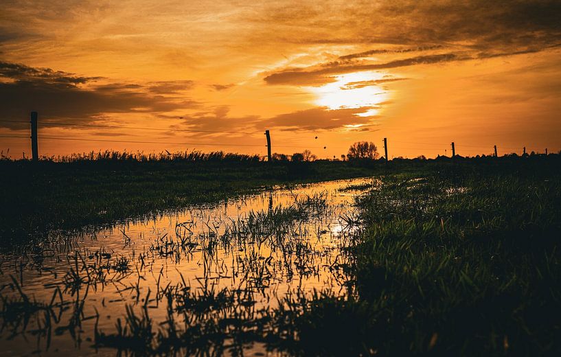 Goldene Reflektionen in der Landschaft von Ilona Water