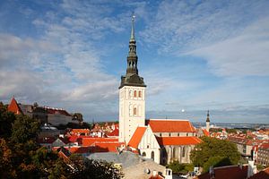 Ausblick vom Turm Kiek in de Kök auf die Nikolaikirche, Unterstadt, Altstadt,Tallinn, Estland, Europ