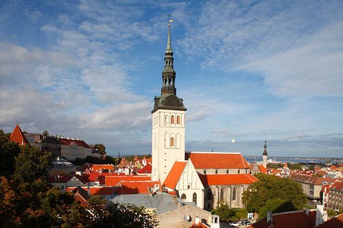Ausblick vom Turm Kiek in de Kök auf die Nikolaikirche, Unterstadt, Altstadt,Tallinn, Estland, Europ