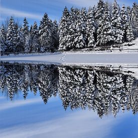 Reflection on the lake in winter by Claude Laprise