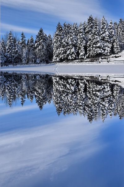 Reflection on the lake in winter by Claude Laprise
