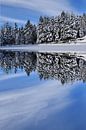 Reflection on the lake in winter by Claude Laprise thumbnail