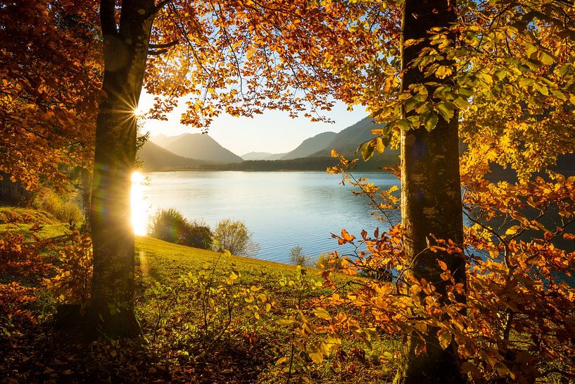 Herfst aan het Sylvenstein Reservoir van Martin Wasilewski