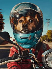 Puis-je voir votre permis de conduire ? sur Studio Allee