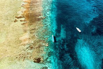 Aerial Summer - Korallenriffe