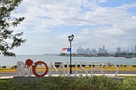View of the city in the distance by Claude Laprise thumbnail