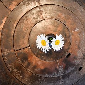 Rustic hob with flowers by Rüdiger Rohmann
