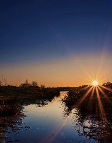 zonsopkomst Loonse en Drunense Duinen